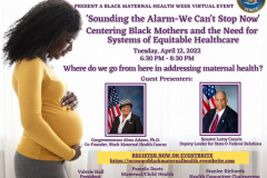 2022 The Power of Preganancy